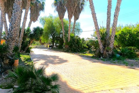 Finca i Dolores, Alicante, Dolores - € 374.950 | Ref: 30O994841 - foto 18